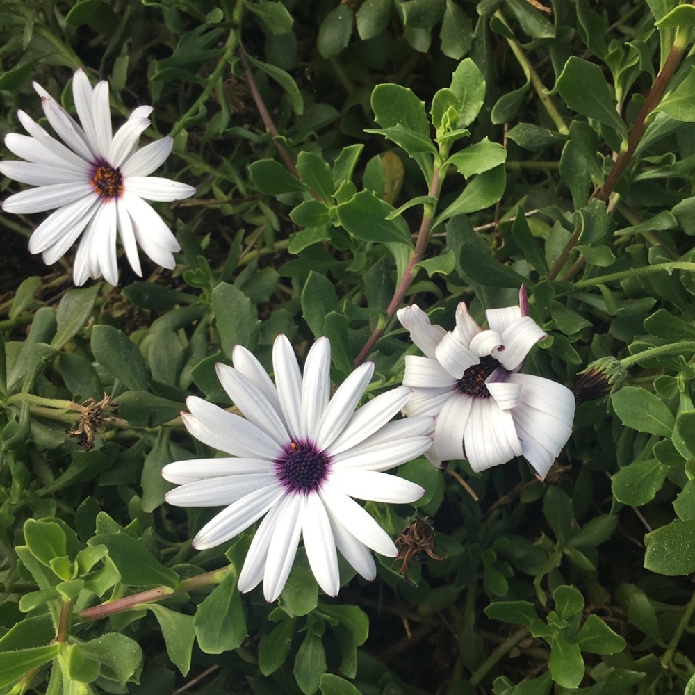 Meet your Posher, Mimi